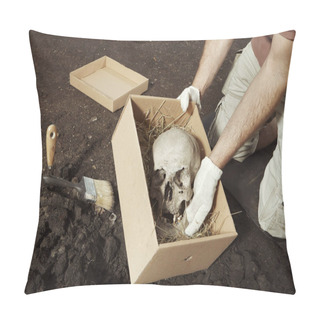 Personality  Skull Of Human Skeleton Packed To Box For Transportration On Summer Terrain Excavations In Field Location Pillow Covers