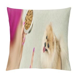 Personality  Blurred Dog Sitter With Bowl Of Dry Food Giving Sit Command To Obedient Pomeranian Spitz, Banner Pillow Covers