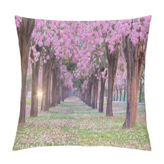 Personality  Panoramic Shot Of Romantic Blossoming Pink Trumpet Flower Trees , It Look Like Cherry Trees In Spring Park. Pillow Covers