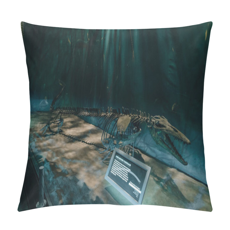 Personality  Drumheller, Canada - Mar 2023 Visitors Flock To The Dinosaur Exhibits At The Entrance Of The Royal Tyrrell Museum. High Quality Photo Pillow Covers