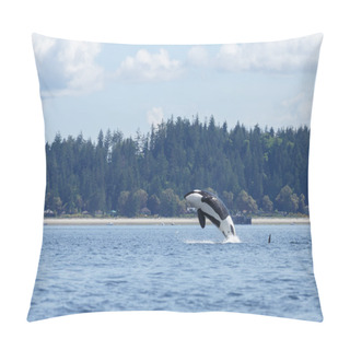 Personality  Jumping Orca Whale  Pillow Covers