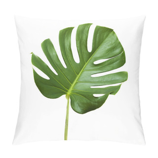 Personality  Big Dark Green Leaf Of Monstera Plant Pillow Covers