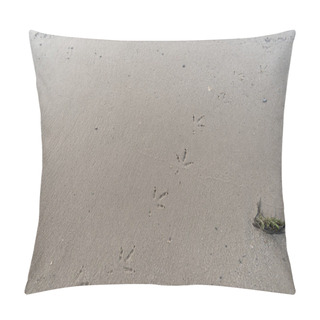 Personality  Top View Of Textured Brown Sand With Bird Footprints Pillow Covers