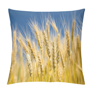 Personality  Ripe Wheat On A Blue Sky Pillow Covers
