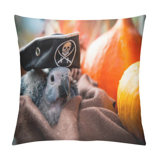 Personality  Happy Halloween. African Grey Parrot Baby With A Pirats Hat And Pumpkins Pillow Covers