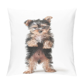 Personality   Little Puppy Standing Pillow Covers