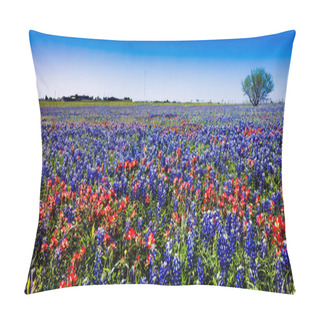 Personality  A Wide Angle High Resolution Panoramic View Of A Beautiful Field Of Wildflowers Pillow Covers
