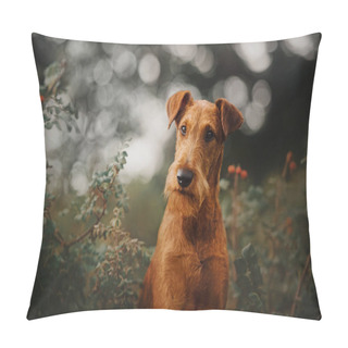 Personality  Irish Terrier Dog Sitting In Green Bushes Pillow Covers