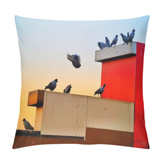 Personality  Pigeons Or Columba Domestica Waiting On The Historical Building Wall. Herd Of Pigeons Sitting On The Buildings. Pillow Covers