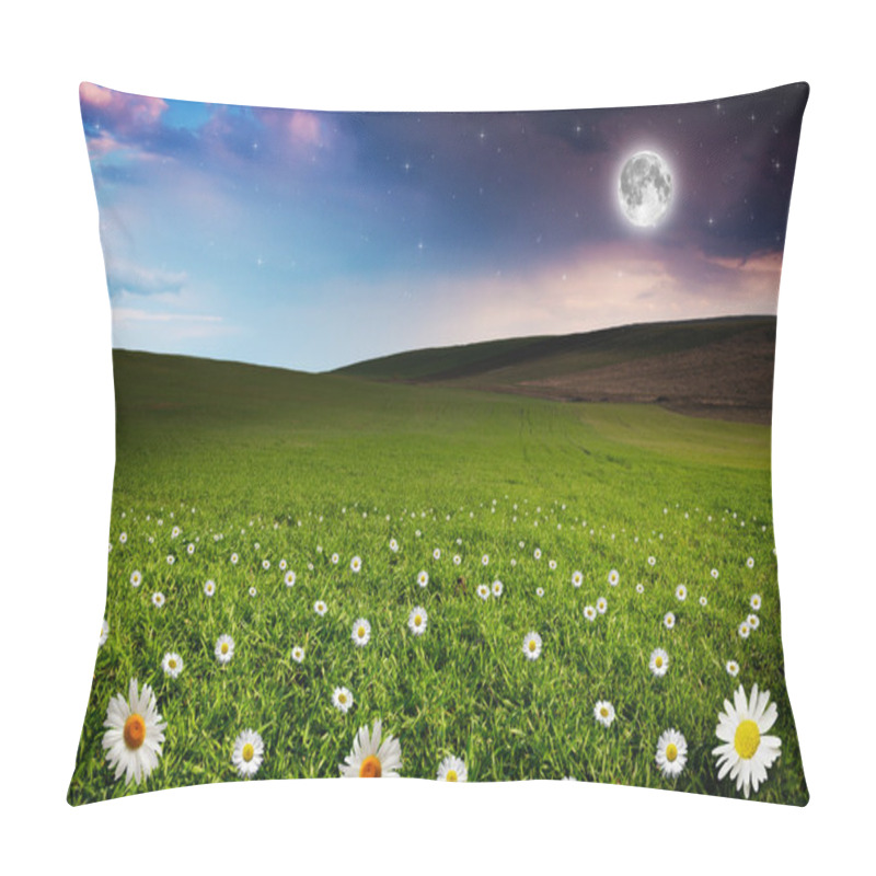 Personality  Daisy flower field in the night pillow covers