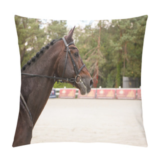 Personality  Head Of Racing Horse In Move Pillow Covers