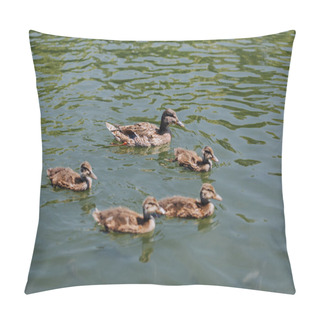 Personality  Close Up View Of Flock Of Ducklings With Mother Duck Swimming In Water  Pillow Covers