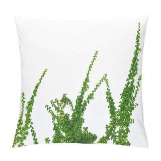 Personality  Ivy On Wall Pillow Covers