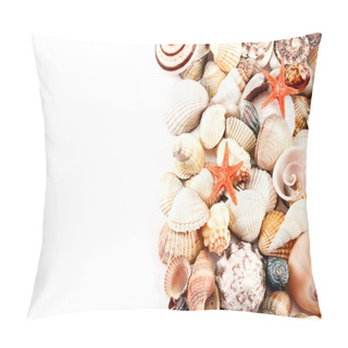 Personality  Seashells. Pillow Covers