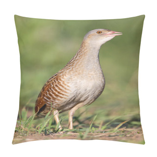 Personality  Bird A Corn Crake Sings On A Meadow Pillow Covers