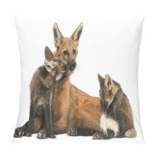 Personality  Maned Wolf Mom And Cubs Cuddling, Chrysocyon Brachyurus, Isolate Pillow Covers