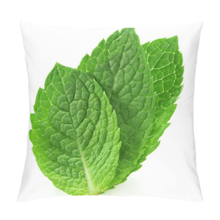 Personality  Fresh Mint Leave Pillow Covers