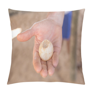 Personality  Man's Hand Holding Turtle Egg Pillow Covers
