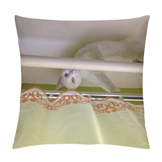 Personality  White Cat With One Blue Other Green Eye (odd-eyed) Hiding Pillow Covers