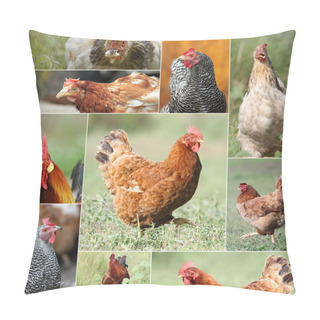 Personality  Collage With Hens And Roosters Pillow Covers