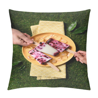 Personality  People Taking Fruit Ice Pops On Green Grass Background Pillow Covers