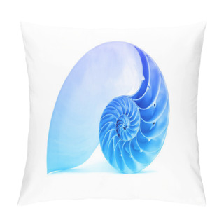 Personality  Nautilus Shell And Famous Fibonacci Blue Geometric Pattern Pillow Covers