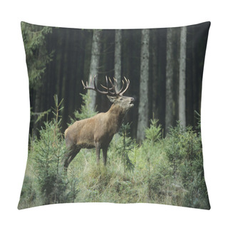 Personality  Elk Bugling Pillow Covers