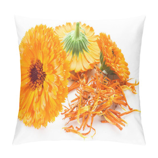 Personality  Calendula Flowers On The White Background. Pillow Covers