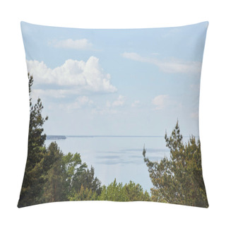Personality  Aerial View Of Landscape With Green Leafy Trees, River And Blue Sky Pillow Covers
