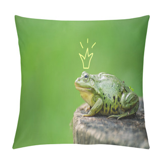 Personality  Cute Frog Princess Or Prince. Toad Painted Crown, Shooting Outdoor Pillow Covers