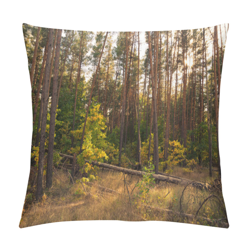 Personality  Autumn forest pillow covers