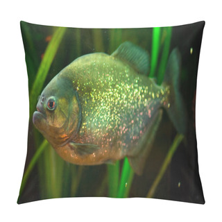 Personality  Piranha Pillow Covers