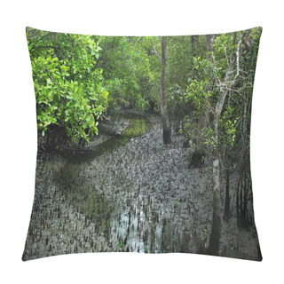Personality  Breathing Roots Of Keora Trees At The World Largest Mangrove Forest Sundarbans, Famous For The Royal Bengal Tiger And UNESCO World Heritage Site In Bangladesh. Pillow Covers