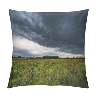 Personality  Rainy Morning Over The Flood Meadows Near The Ob River. Western  Pillow Covers