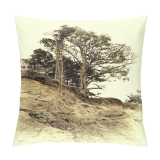 Personality  Vintage Photo Of Pine On A Precipice Pillow Covers