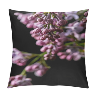 Personality  Close-up Shot Of Aromatic Lilac Flowers Covered With Water Drops Isolated On Black Pillow Covers