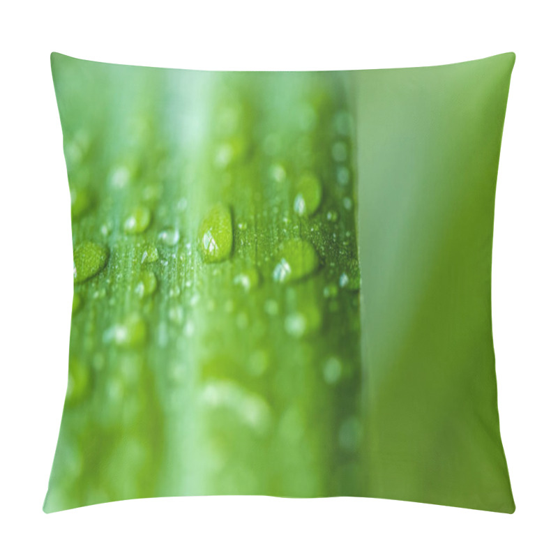 Personality  Close Up View Of Green Leaf With Water Drops On Blurred Background  Pillow Covers
