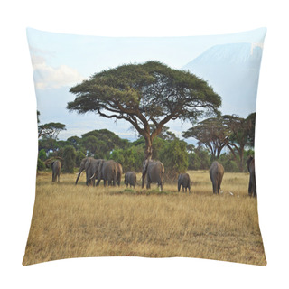 Personality  Elephants In The Savannah Pillow Covers