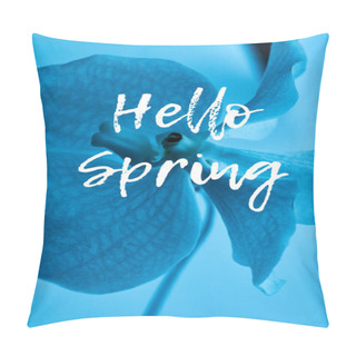 Personality  Close Up View Of Colorful Blue Orchid Flower Isolated On Blue, Hello Spring Illustration Pillow Covers