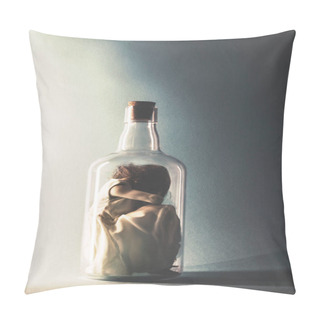 Personality  Woman Crouching Inside A Glass Bottle Pillow Covers