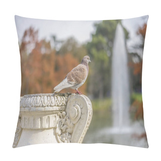 Personality  Groups Of Sparrows Resting On A Ledge Next To A Lake In Retiro Park, Madrid, Spain Pillow Covers