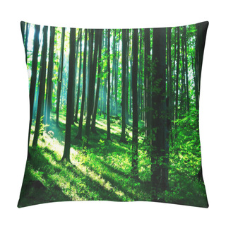 Personality  Sunshine In The Green Forest Pillow Covers