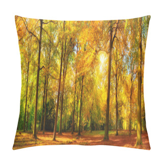 Personality  Gorgeous Autumn Panorama Of A Sunny Forest Pillow Covers