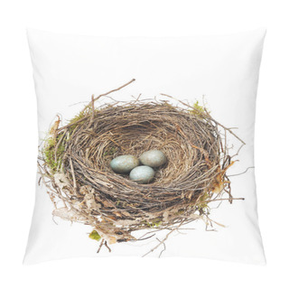 Personality  Detail Of Blackbird Eggs In Nest Isolated On White Pillow Covers