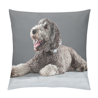 Personality  Labradoodle Dog. Pillow Covers