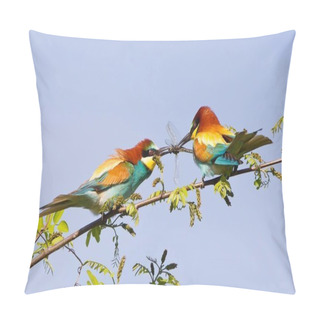 Personality  Two European Bee-Eaters Perching On Branch  Pillow Covers