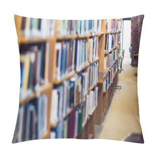 Personality  Aisle Along Bookshelves In The College Library Pillow Covers