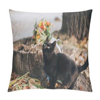 Personality  Black Cat Near Wedding Bouquet  Pillow Covers
