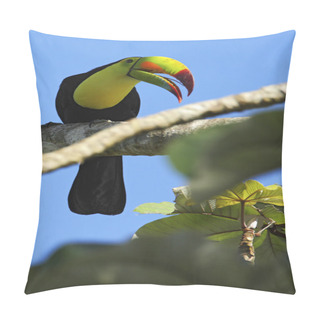 Personality  Keel-billed Toucan Sitting On The Branch Pillow Covers