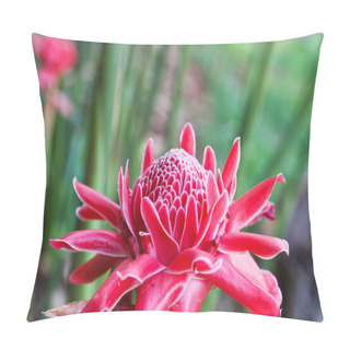 Personality  Torch Ginger Pillow Covers